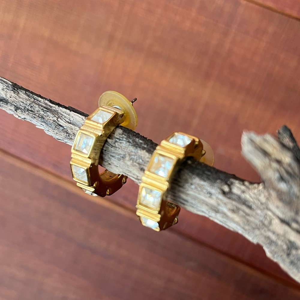 Crystal Hoops